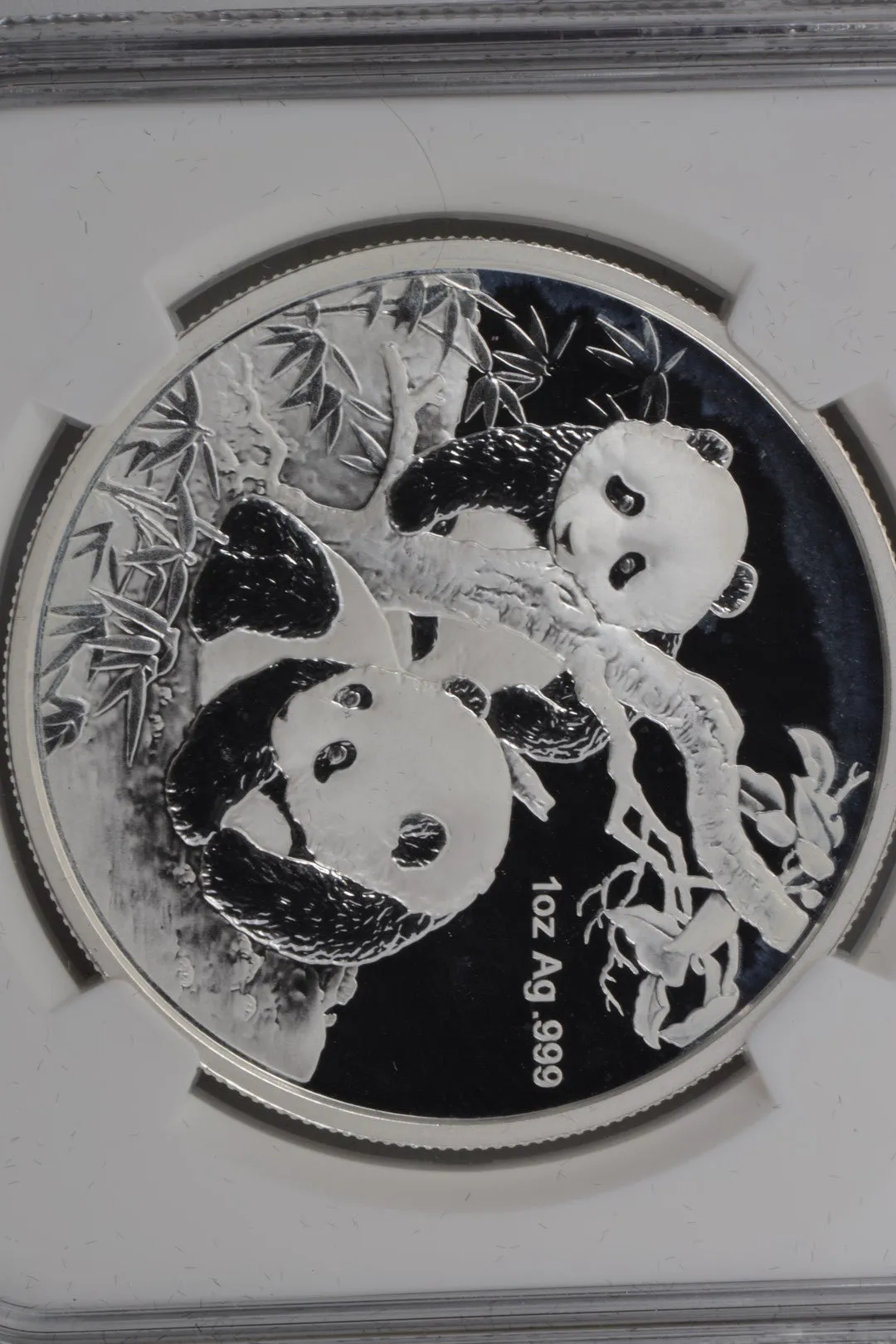 2013 Panda Coin 999 Silver (31.10g.)