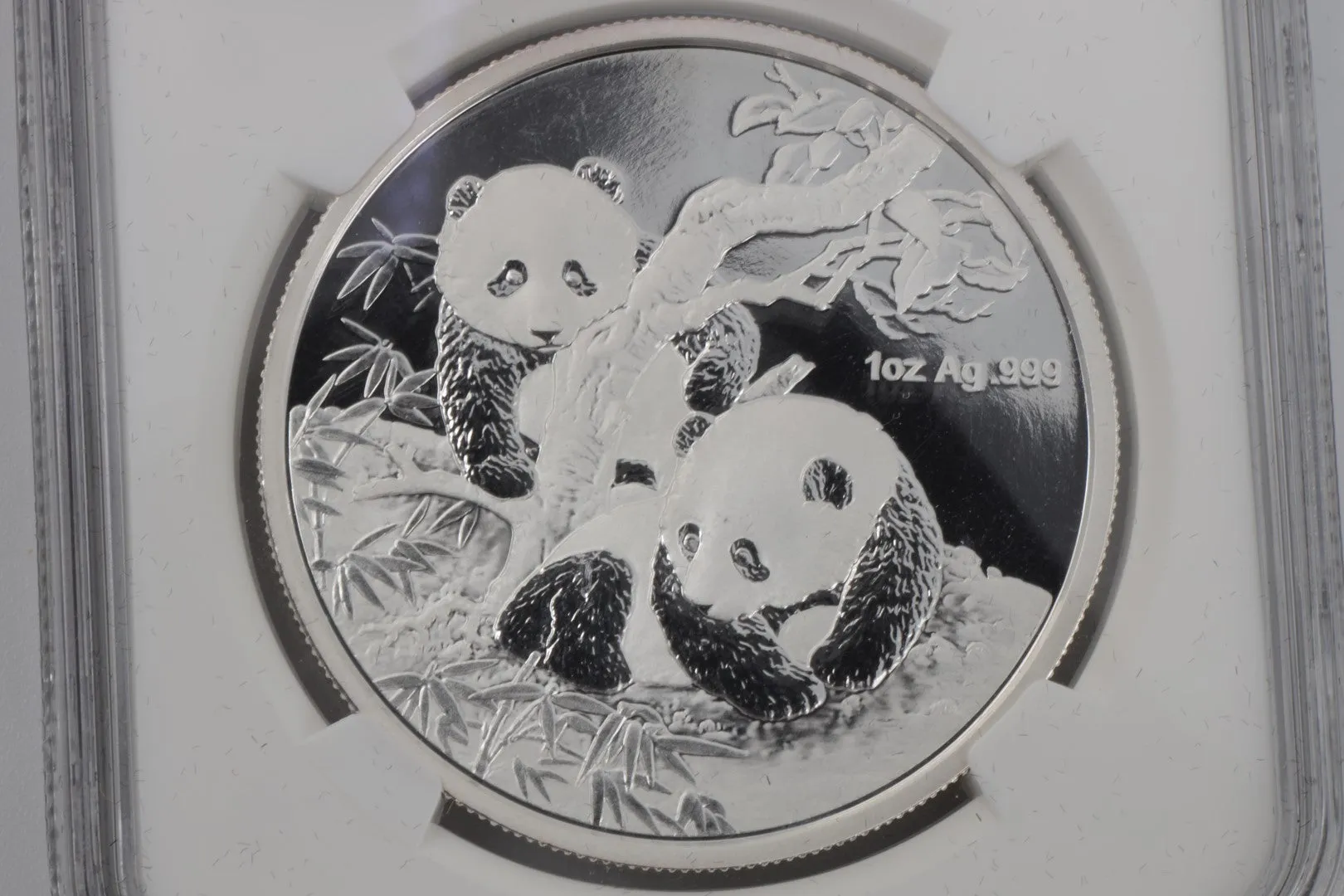 2013 Panda Coin 999 Silver (31.10g.)